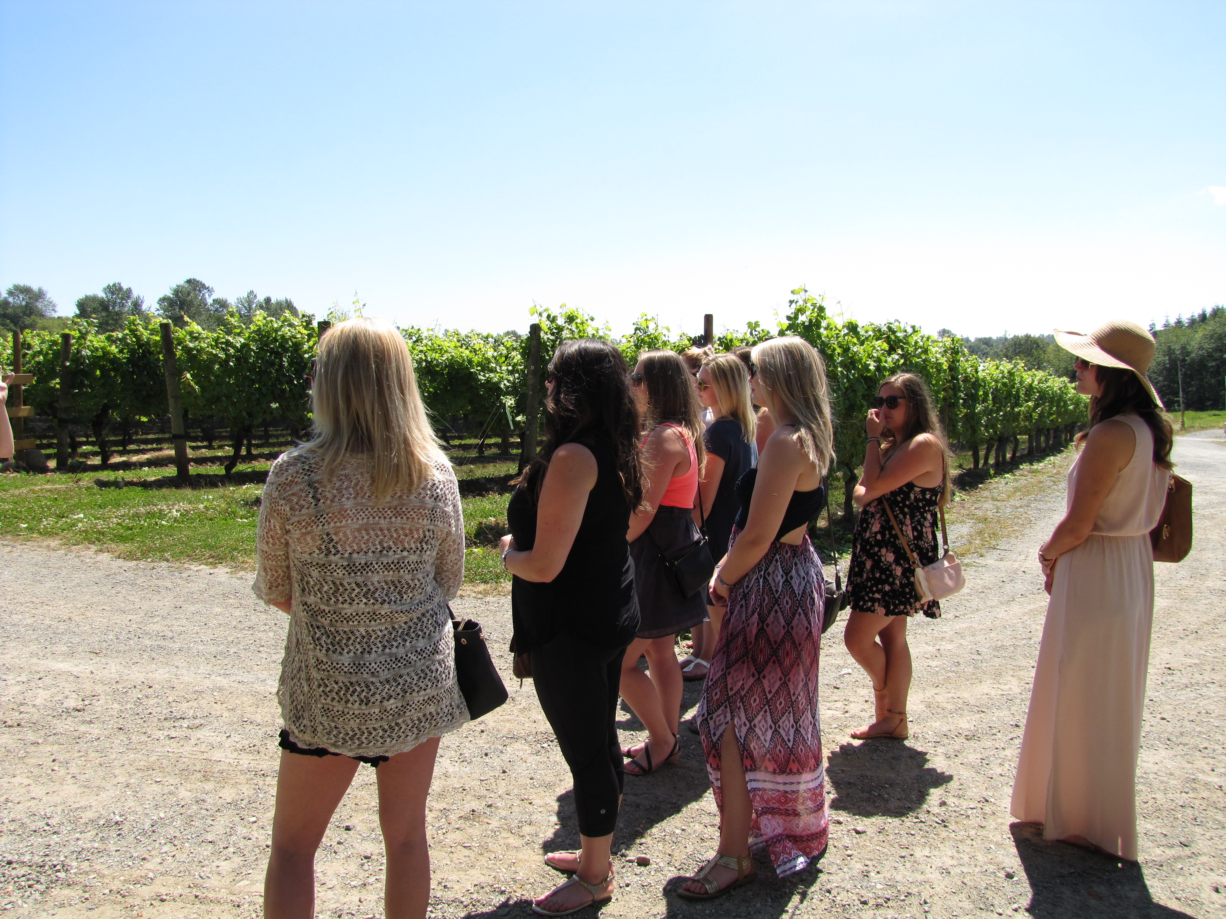 individuals on a wine tour